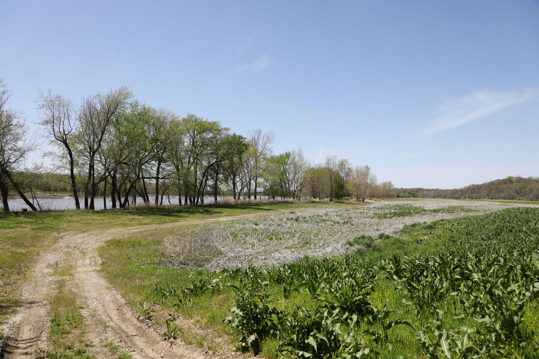 A small field and road along the river are pictured